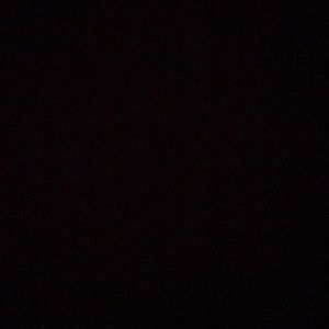 Meet your Posher, Laylah